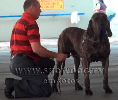 Clique sobre a foto para fechar